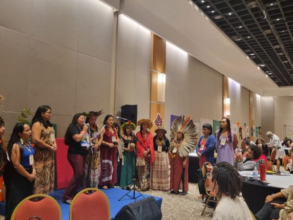 photo_5145506400296873249_y-1